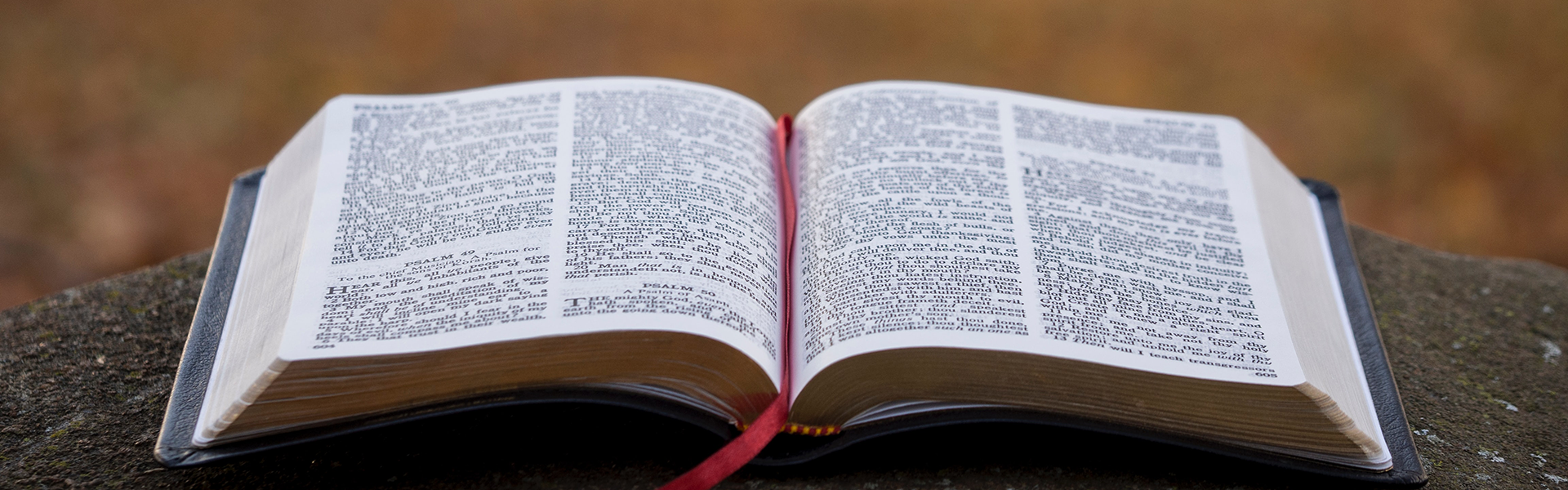 Statement of Faith